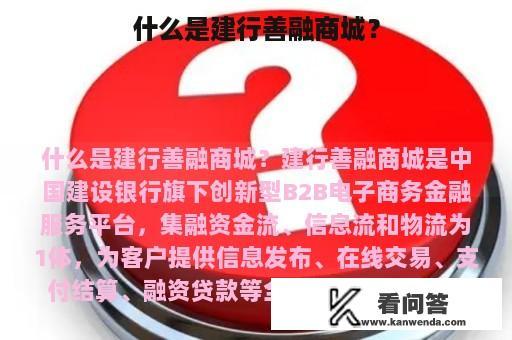 什么是建行善融商城？