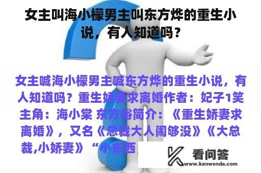 女主叫海小檬男主叫东方烨的重生小说，有人知道吗？