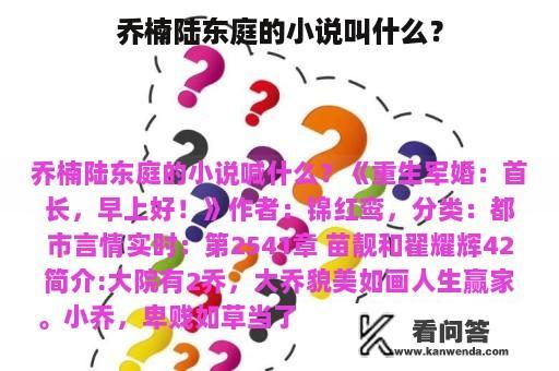 乔楠陆东庭的小说叫什么？