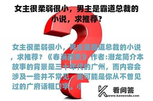 女主很柔弱很小，男主是霸道总裁的小说，求推荐？