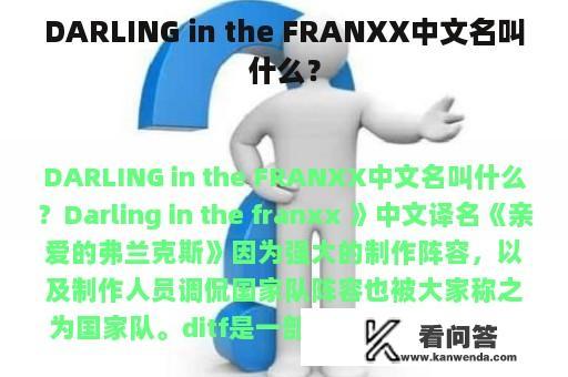 DARLING in the FRANXX中文名叫什么？