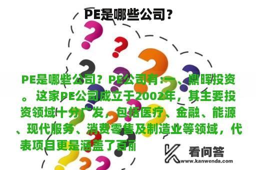 PE是哪些公司？