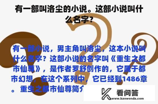 有一部叫洛尘的小说。这部小说叫什么名字？