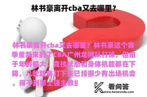 林书豪离开cba又去哪里？