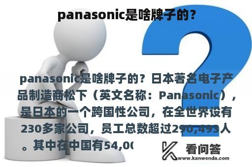 panasonic是啥牌子的？