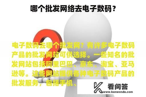 哪个批发网络去电子数码？