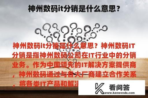 神州数码it分销是什么意思？