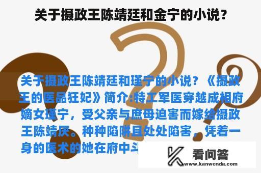 关于摄政王陈靖廷和金宁的小说？