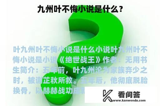 九州叶不悔小说是什么？