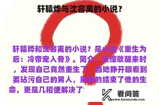 轩辕烨与沈容离的小说？