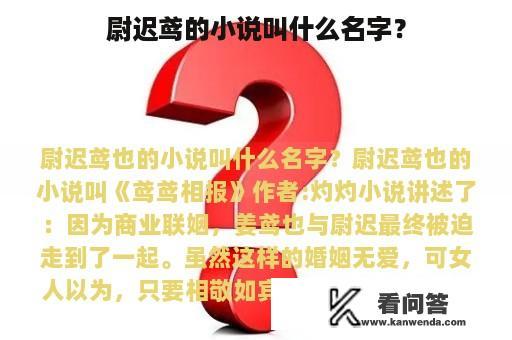 尉迟鸢的小说叫什么名字？