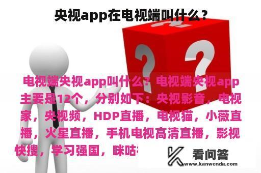 央视app在电视端叫什么？