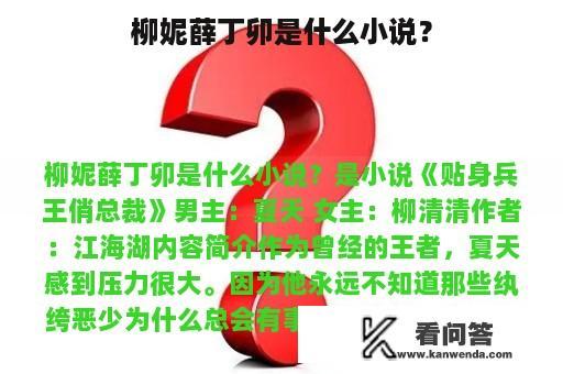 柳妮薛丁卯是什么小说？