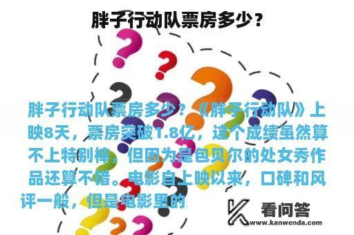 胖子行动队票房多少？