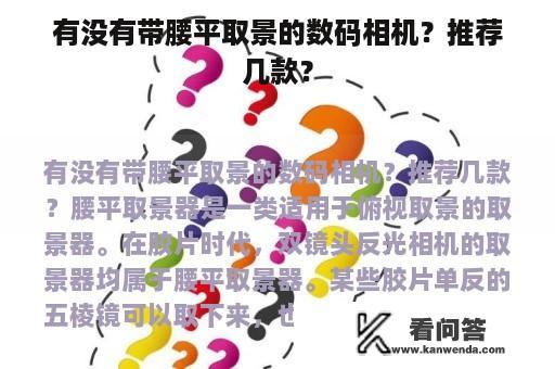 有没有带腰平取景的数码相机？推荐几款？