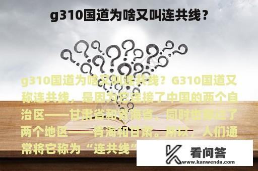 g310国道为啥又叫连共线？