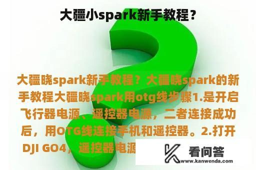 大疆小spark新手教程？