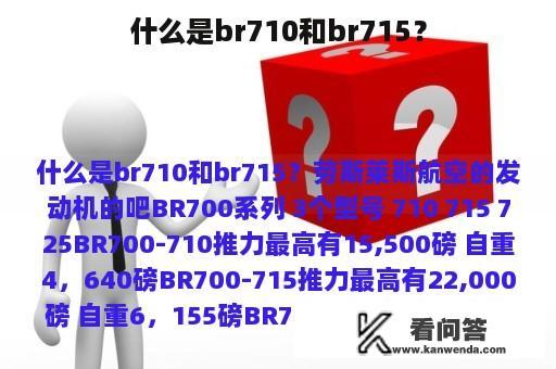 什么是br710和br715？