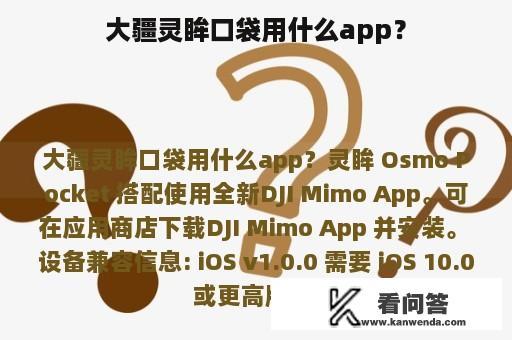 大疆灵眸口袋用什么app？