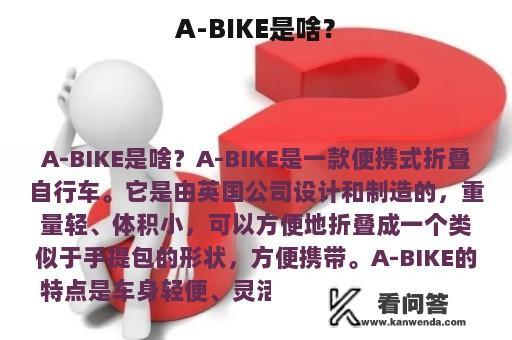 A-BIKE是啥？