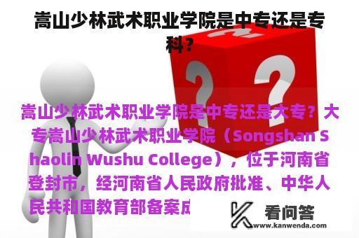 嵩山少林武术职业学院是中专还是专科？