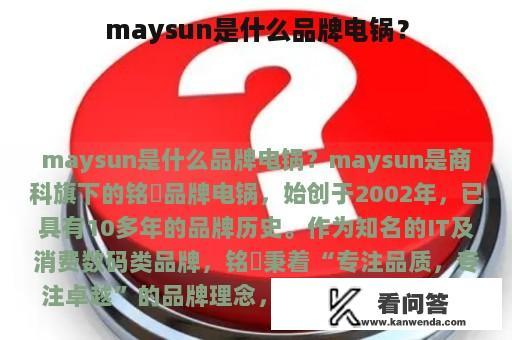 maysun是什么品牌电锅？