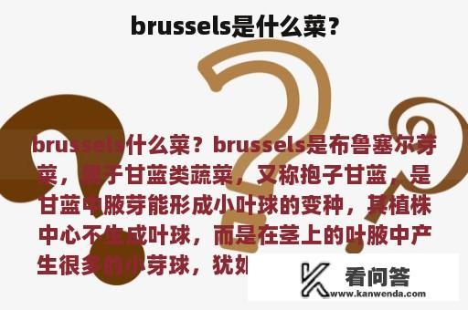 brussels是什么菜？