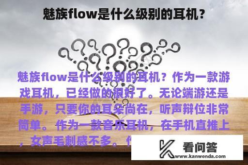 魅族flow是什么级别的耳机？