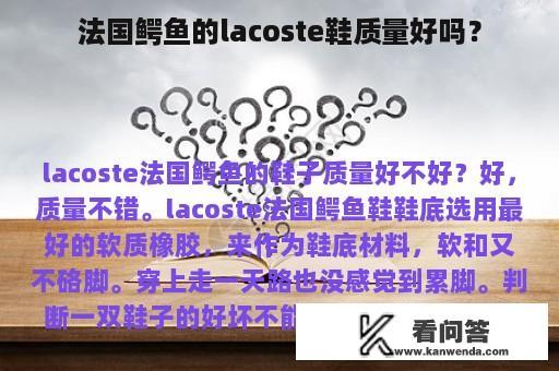 法国鳄鱼的lacoste鞋质量好吗？