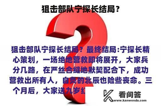 狙击部队宁探长结局？