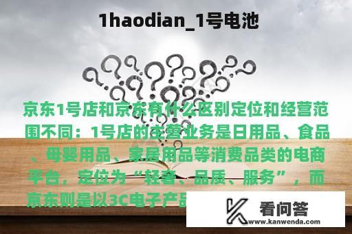  1haodian_1号电池