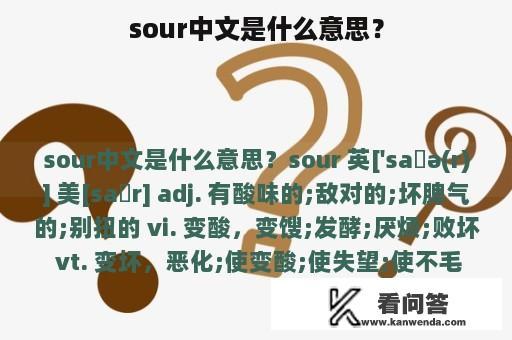 sour中文是什么意思？