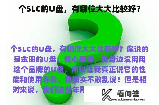 个SLC的U盘，有哪位大大比较好？