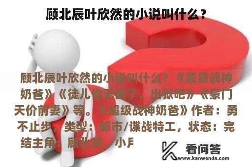 顾北辰叶欣然的小说叫什么？