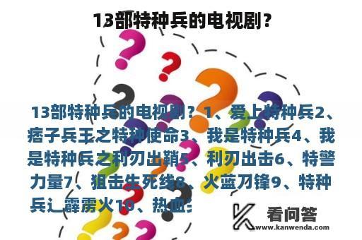 13部特种兵的电视剧？