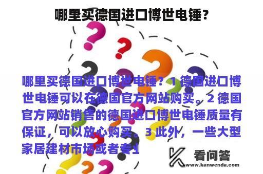 哪里买德国进口博世电锤？