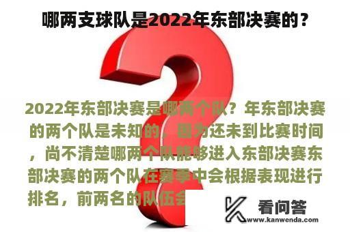 哪两支球队是2022年东部决赛的？