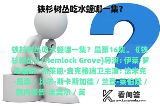 铁杉树丛吃水蛭哪一集？