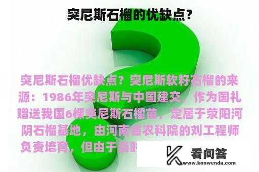 突尼斯石榴的优缺点？