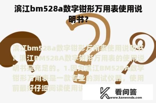 滨江bm528a数字钳形万用表使用说明书？