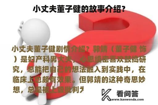 小丈夫董子健的故事介绍？