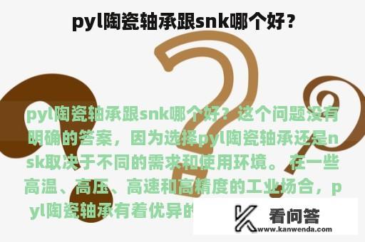 pyl陶瓷轴承跟snk哪个好？