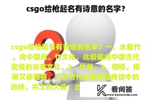 csgo给枪起名有诗意的名字？