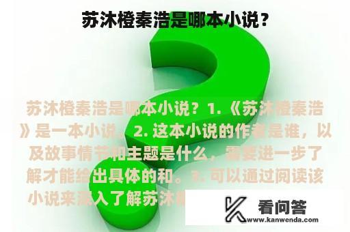 苏沐橙秦浩是哪本小说？