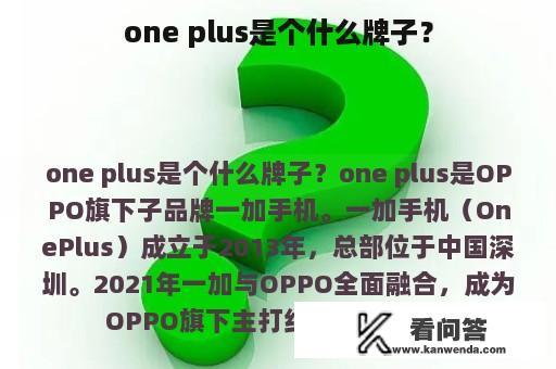 one plus是个什么牌子？