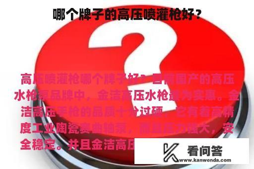 哪个牌子的高压喷灌枪好？