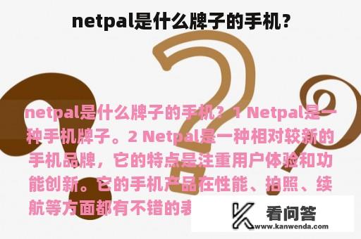 netpal是什么牌子的手机？