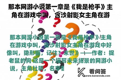 那本网游小说第一章是《我是枪手》主角在游戏中叫，含沙射影女主角在游戏中好像叫，隐形猫，记住？