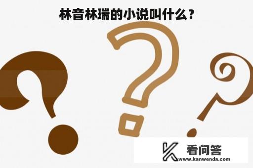 林音林瑞的小说叫什么？