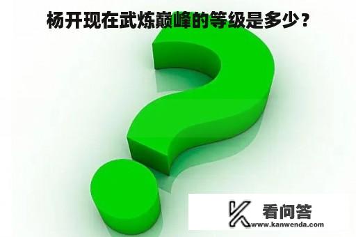 杨开现在武炼巅峰的等级是多少？